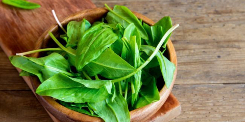 Přistání šťovík v 2022: termíny při výsadbě